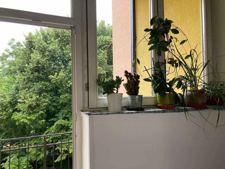 Ferienwohnung Oh Lola! Belgrad Exterior foto